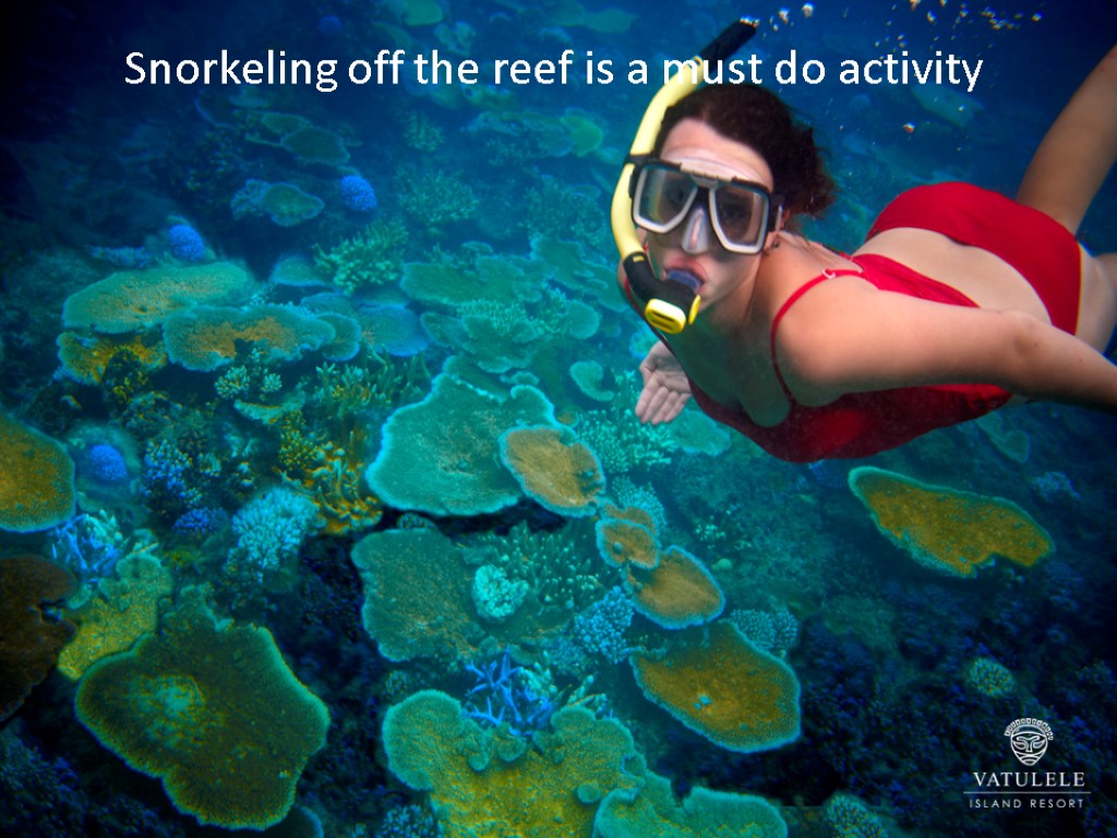 Snorkeling off the reef is a must do activity